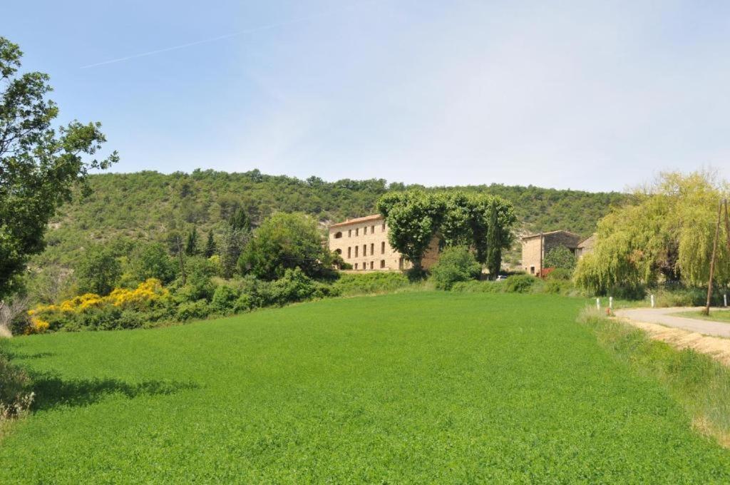 Appartement 3P Luberon Viens Exteriér fotografie